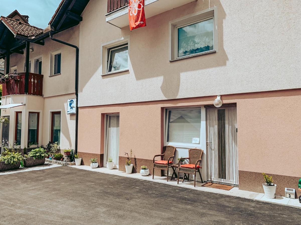 Apartments Ivanovic Idrija Exterior foto